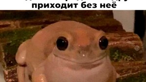 Не ищите здесь смысл. Здесь в основном маразм