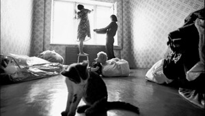 Наши верные спутники-2