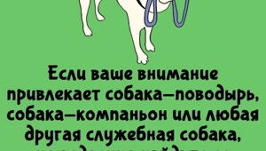 А вдруг ты не знал…