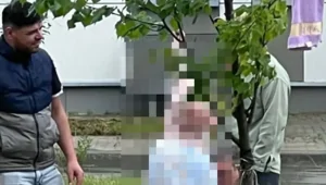 В Новой Москве приезжие разделали барана на детской площадке и попали в скандал
