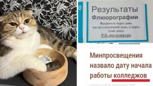 Мероприятель и клюкало: и опять каламбуры и лингвошутки