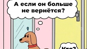Не ищите здесь смысл. Здесь в основном маразм