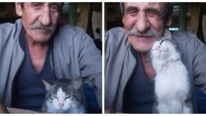 Кот стал лучшим другом дедушки