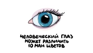А вдруг ты не знал…
