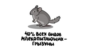 А вдруг ты не знал…