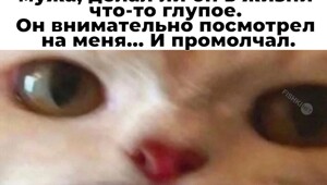 Не ищите здесь смысл. Здесь в основном маразм