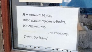 ФотоВсячина