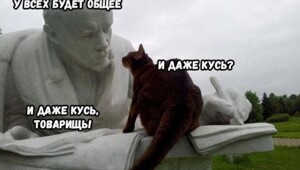 Не ищите здесь смысл. Здесь в основном маразм