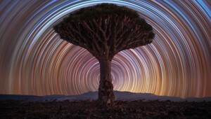 Лучший астрономический фотограф - 2025: двадцатка фото, претендующих на победу в этом году