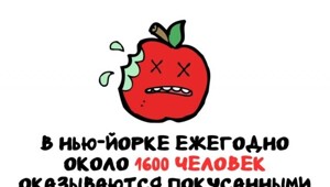 А вдруг ты не знал…
