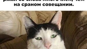 Не ищите здесь смысл. Здесь в основном маразм