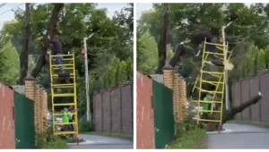Когда знаешь своё дело