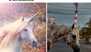 Не ищите здесь смысл. Здесь в основном маразм