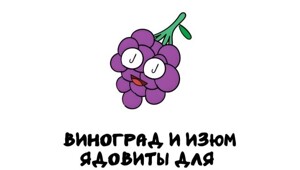 А вдруг ты не знал…