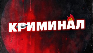 Береговой конфликт в Бердском заливе: отдыхающие против автоклуба BMW. ФБК борется с незаконным захватом берегов!