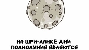 А вдруг ты не знал…