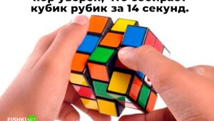 Не ищите здесь смысл. Здесь в основном маразм