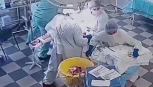 Врачей на Камчатке, не покинувших свой пост во время землетрясения, представят к государственным наградам