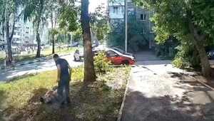 Мужчина несколько раз ударил мальчика из-за того, что тот обидел его дочь
