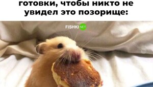 Скрины из соцсетей