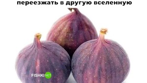Скрины из соцсетей
