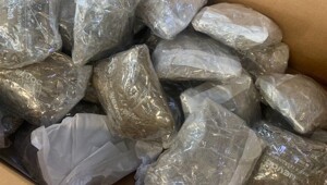 Почти три килограмма марихуаны прислали россиянину из Калифорнии