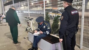 В подмосковных аэропортах начали штрафовать таксистов-зазывал