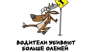 А вдруг ты не знал…
