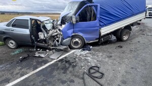 ДТП в Рязанской области "Раз, и нет двух человек"