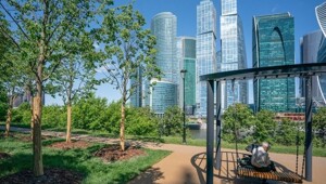 С 2011 по 2024 год в Москве высадили 13 миллионов деревьев и кустарников