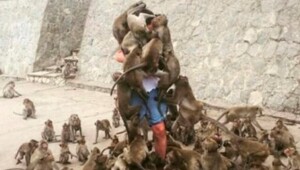 Не ищите здесь смысл. Здесь в основном маразм
