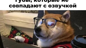 Продолжаем барражировать соцсети