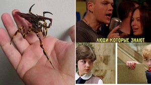 Осенняя подборка для любителей кино и мемов