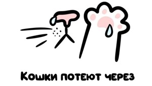 А вдруг ты не знал…