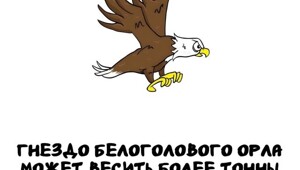 А вдруг ты не знал…