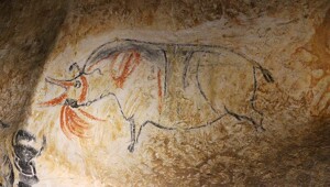 Пещерные рисунки Шове - древнейшие доисторические фрески