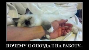 Смешные и странные демотиваторы на злобу дня