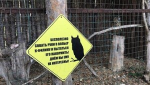 Смешные и доходчивые предупреждения в зоопарке