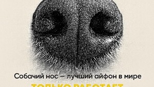 Собачий нос — это айфон без подзарядки, Google и бабка у подъезда в одном лице