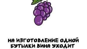 А вдруг ты не знал…