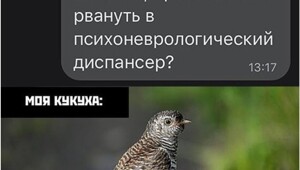 Зумеры додумались до отдыха мечты... в психдиспансере