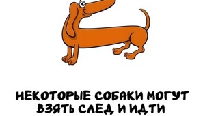 А вдруг ты не знал…
