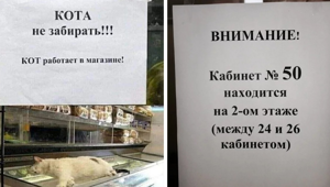 15 странных и забавных объявлений, созданных людьми, которые могут ко всему найти нестандартный подход