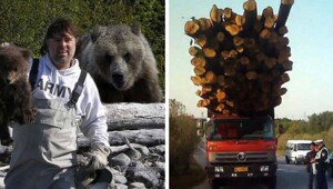 20+ фотографий, когда некоторые люди бездумно рискуют остаться инвалидами или хуже