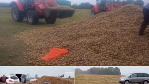 В&nbsp;Польше люди украли 150&nbsp;тонн урожая у&nbsp;фермера из-за фейка в&nbsp;соцсетях