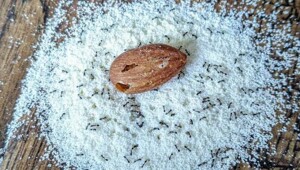 20 простых и завораживающих чудес, которые можно встретить где угодно