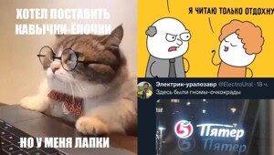 Лабрадорные исследования и надсолнух: лингвошутки и каламбуры