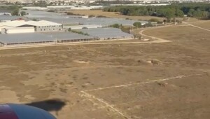 Пассажиры vs пилоты: идеальное объявление, которое никогда не прозвучит