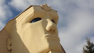 20 снимков, подтверждающих, что мир в деталях гораздо интереснее