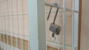 Сибиряк получил 10 суток ареста из-за торта на день рождения